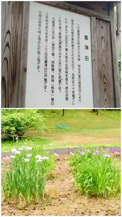 明治神宮(東京都)