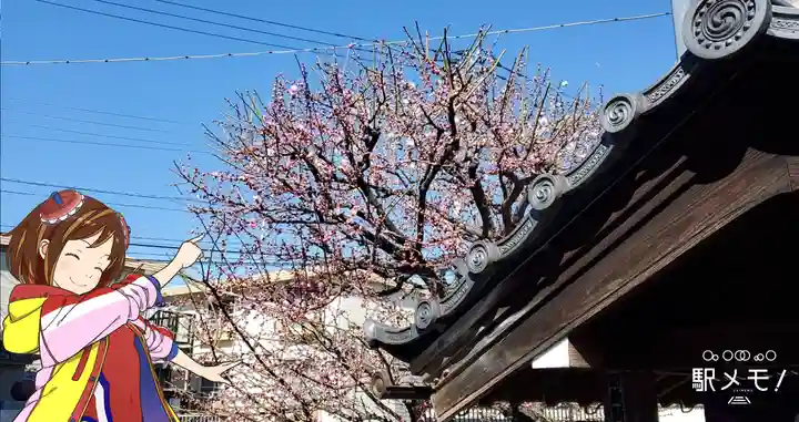 寳性寺のその他建物