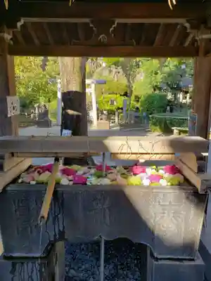 鳩森八幡神社の手水舎