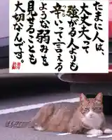 専念寺(大阪府)