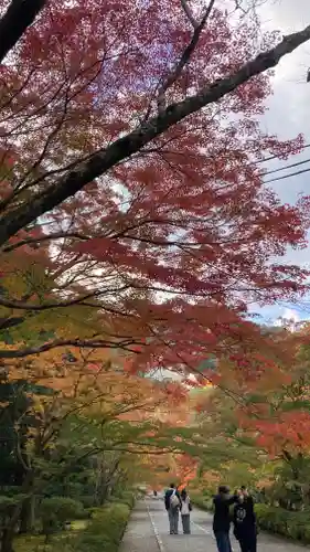 二尊院(京都府)