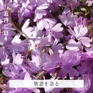 壽徳寺 じゅとくじの自然(2022年05月02日(月) 19時13分14秒投稿)