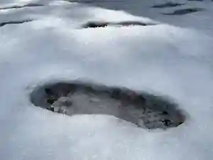 滑川神社 - 仕事と子どもの守り神(福島県)(2022年02月20日(日) 10時33分32秒投稿)