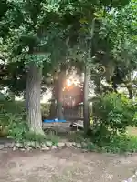 雀神社(茨城県)