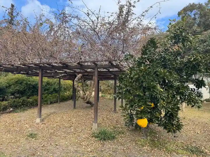 法華寺(奈良県)