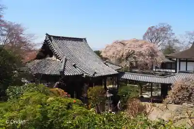 竹林院の本殿・本堂