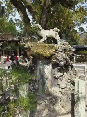白山比咩神社の狛犬