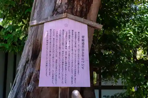 長岡天満宮(京都府)