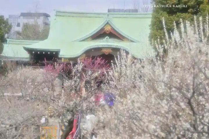 亀戸天神社(東京都)