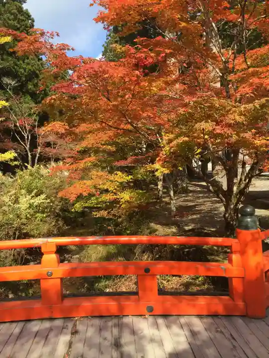 高野山金剛峯寺(和歌山県)