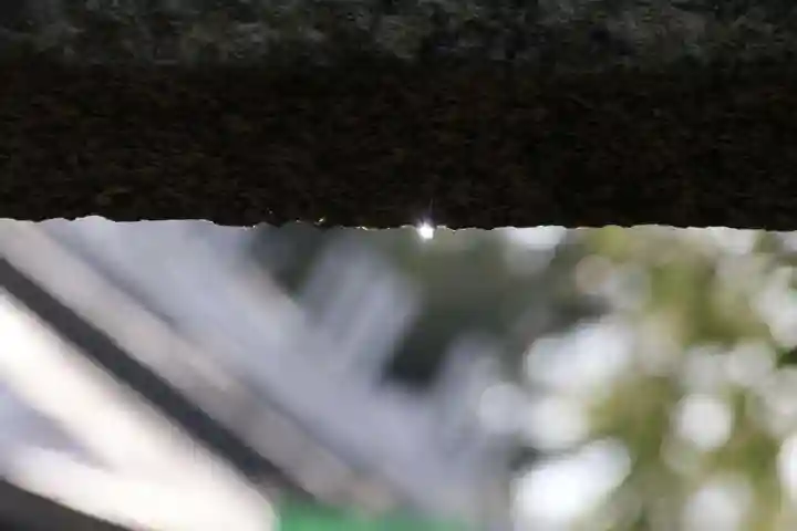 日枝神社の自然