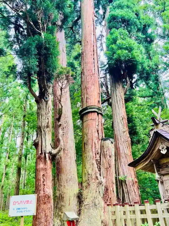 高倉神社(福島県)