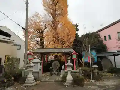 静御前の墓（光了寺跡）の自然