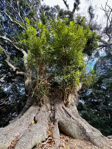 岩上神社(兵庫県)