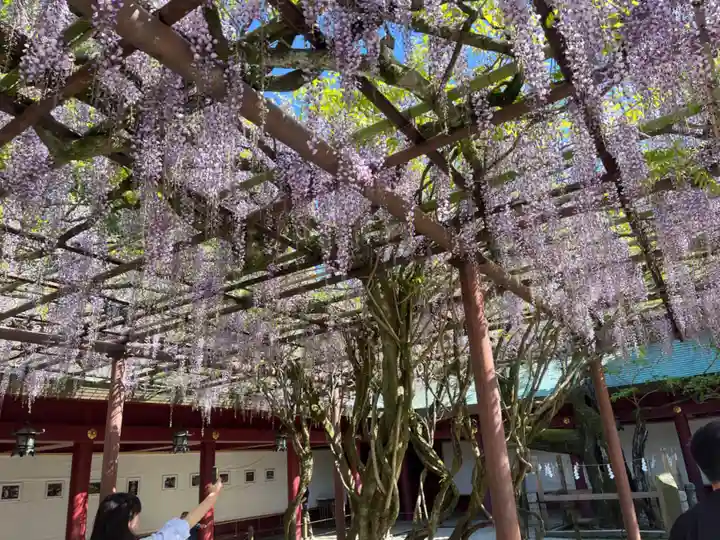 笠間稲荷神社(茨城県)