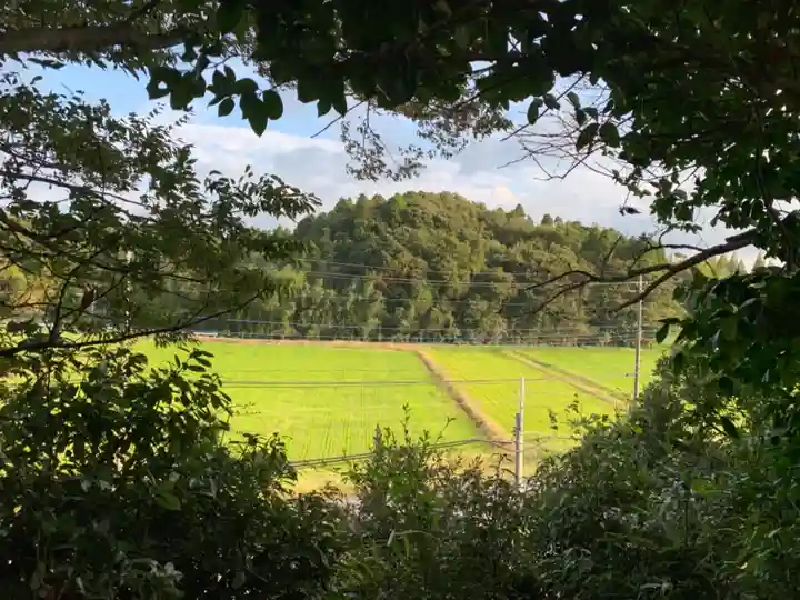 八幡神社の周辺