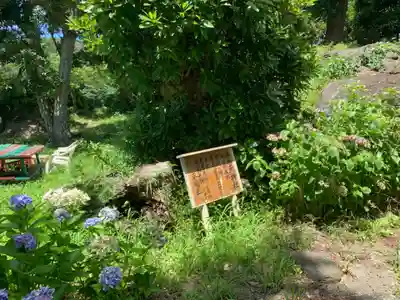 天神社(千葉県)