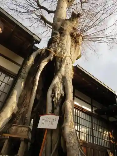 三輪恵比須神社の自然