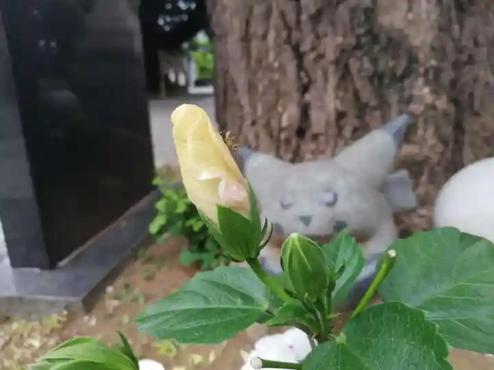 居木神社の自然