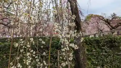 北野天満宮(京都府)