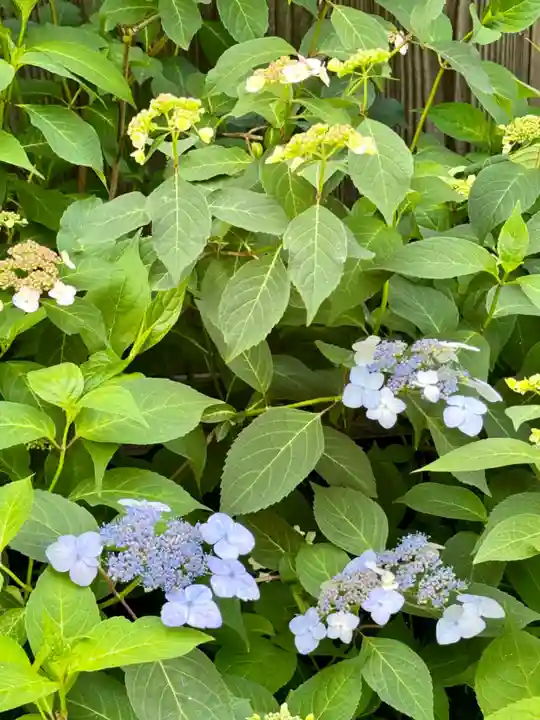 霊源院(京都府)