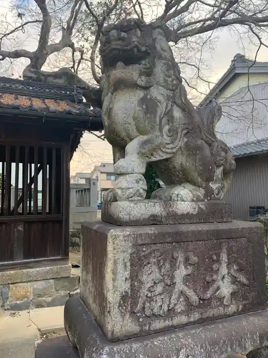 天神社(井堀)の狛犬