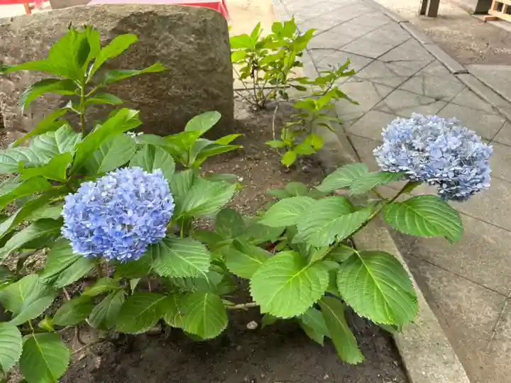 菅生神社の自然