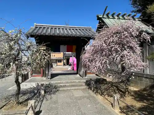 龍光寺(三重県)