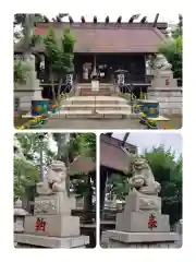 高円寺氷川神社(東京都)