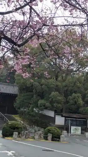 知恩院(京都府)
