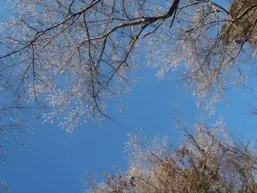 西運寺(愛知県)