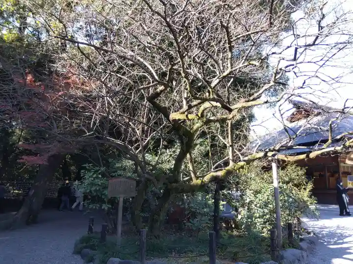 熱田神宮(愛知県)