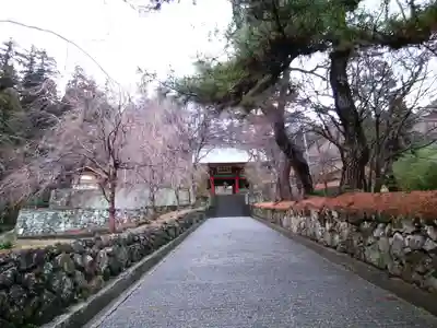 妙義神社(群馬県)