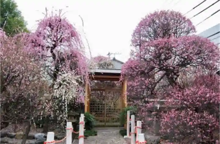 小村井 香取神社の庭園