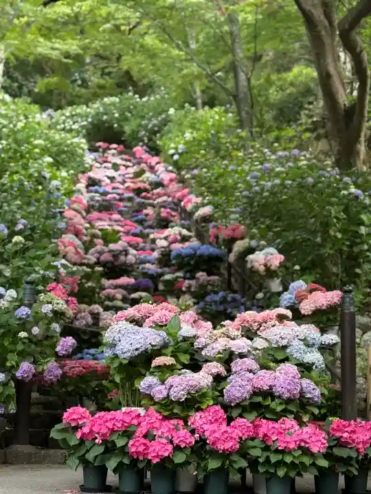 長谷寺(奈良県)