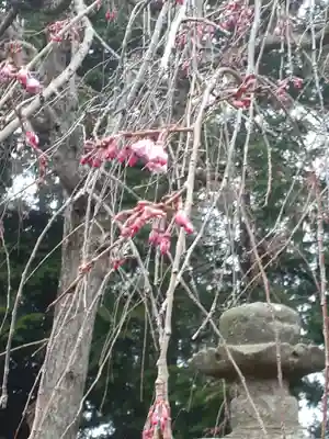 伏木香取神社(茨城県)