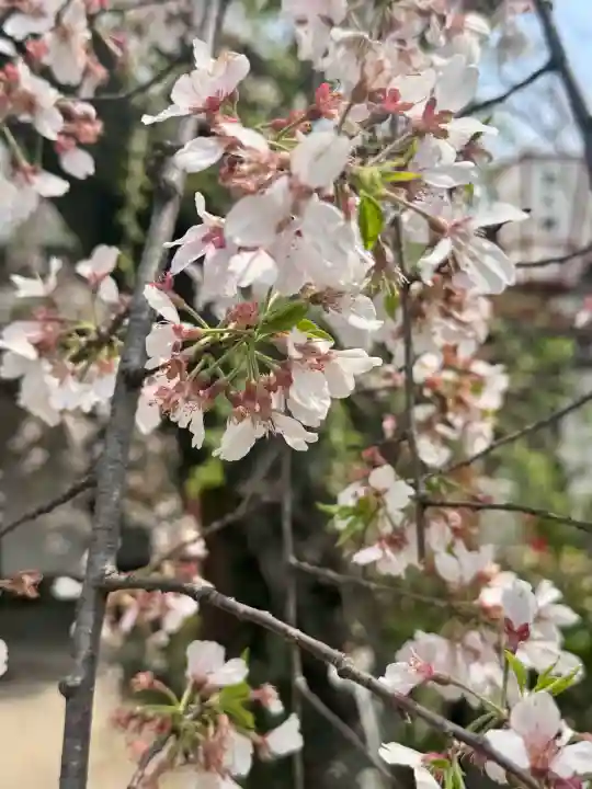 長建寺の{uncategorized: "未分類", other: "その他", undefined: "問題あり", building: "その他建物", grave: "お墓", sacred_gate: "鳥居", guardian: "狛犬", statue: "像", buddha: "仏像", history: "歴史", nature: "自然", garden: "庭園", animal: "動物", pagoda: "塔", temizu: "手水舎", mountain_gate: "山門・神門", sanctuary: "本殿・本堂", subordinate: "末社・摂社", art: "芸術", scenery: "景色", jizo: "地蔵", ema: "絵馬", goshuin: "御朱印", omikuji: "おみくじ", items: "授与品その他", amulet: "お守り", goshuincho: "御朱印帳", eats: "食事", festival: "お祭り", votive_dance: "神楽", shichigosan: "七五三参", wedding: "結婚式", experience: "体験その他", initially: "初詣", around: "周辺", anti_infection: "感染症対策"}