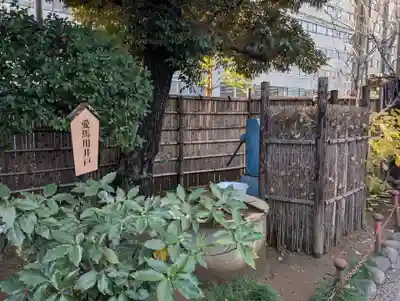 乃木神社(東京都)