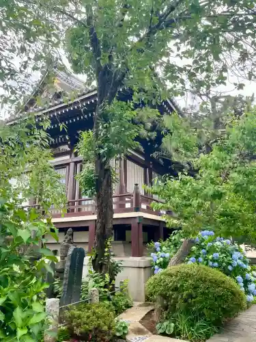 圓照寺(東京都)