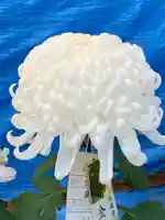 湯島天満宮の自然