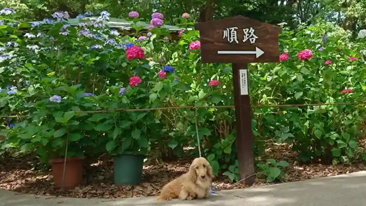 筥崎宮(福岡県)