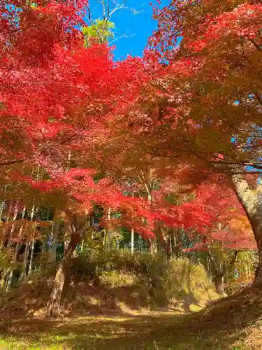 談山神社(奈良県)