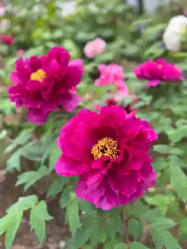 薬師院(兵庫県)