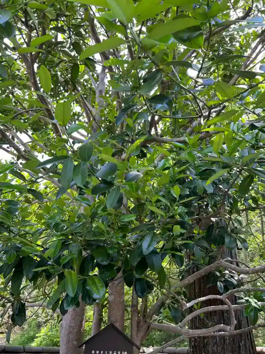 法起院(奈良県)