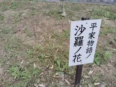 徳寿寺(岡山県)