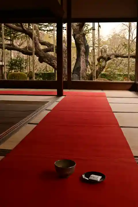 宝泉院(京都府)