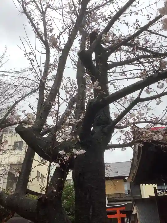三輪神社の自然