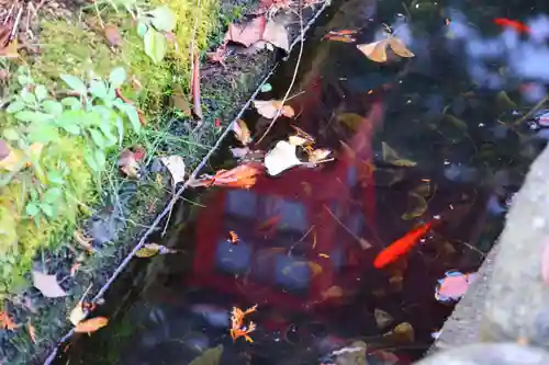神炊館神社 ⁂奥州須賀川総鎮守⁂の周辺
