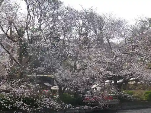 鶴岡八幡宮の景色