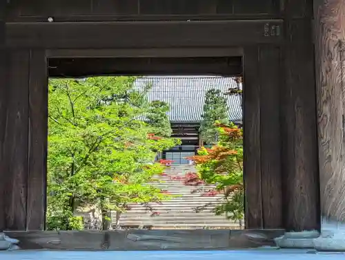 くろ谷 金戒光明寺の山門